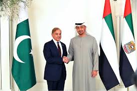 PM Shehbaz held talks with UAE President Sheikh Mohamed bin Zayed Al Nahyan