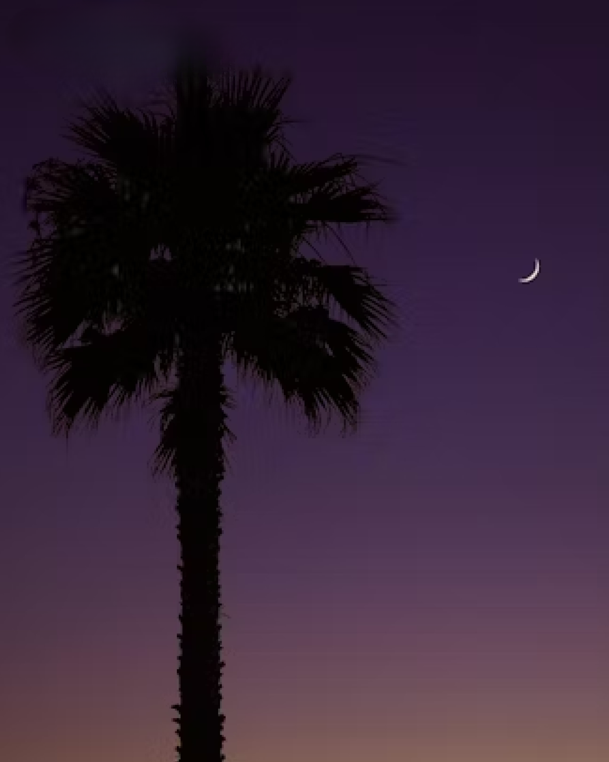 Crescent moon rising in a purple evening sky above a palm tree, representing the beginning of Muharram and the Islamic New Year 1447 in Saudi Arabia and the Gulf